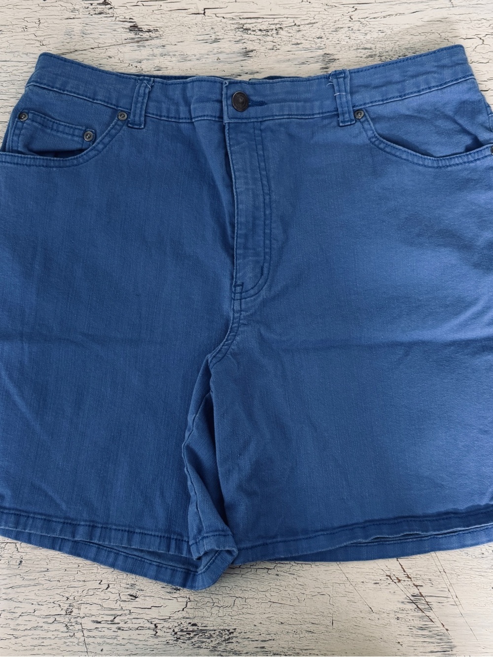 Kim Rogers Blue Shorts Size 12 Avg